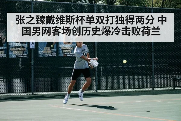 张之臻戴维斯杯单双打独得两分 中国男网客场创历史爆冷击败荷兰